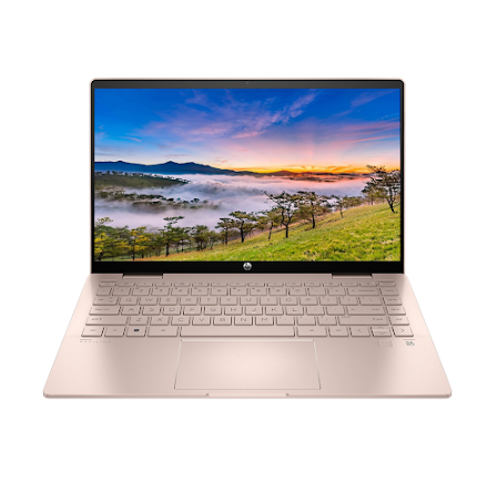 Hình ảnh chi tiết Laptop HP Pavilion X360 14 Touch (80R25PA) - Ảnh số 1