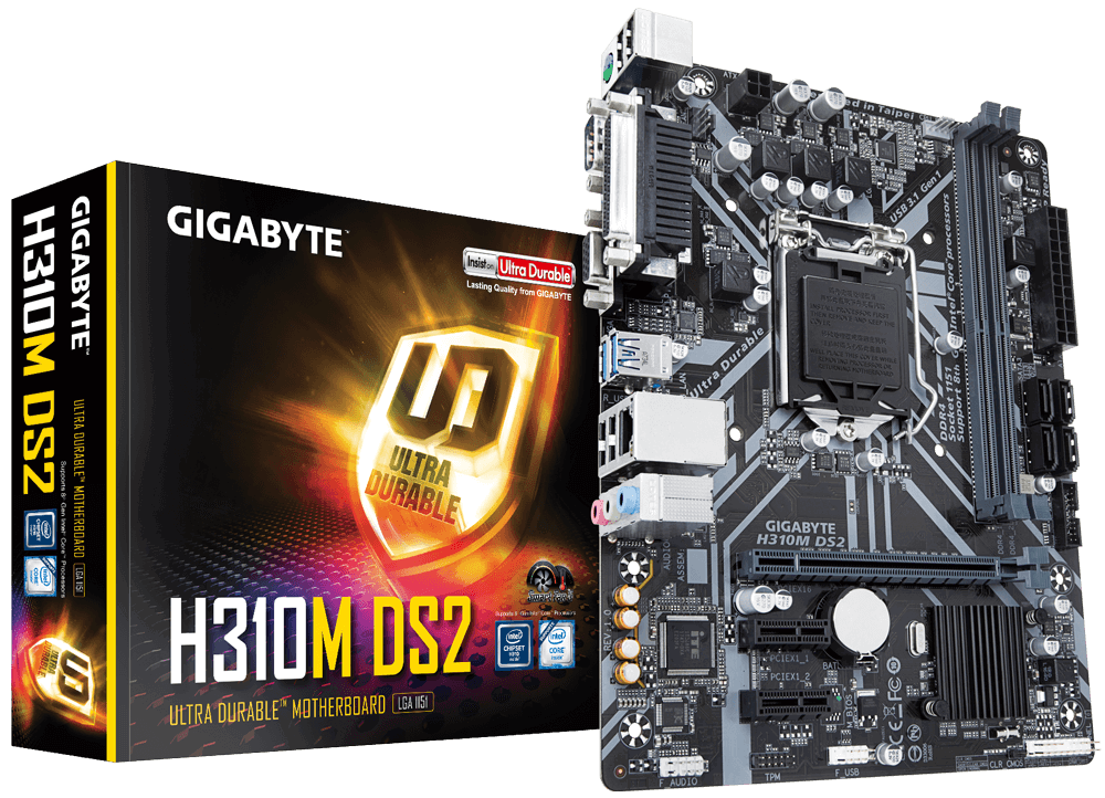 Hình ảnh chi tiết Mainboard Gigabyte H310M-DS2 - Ảnh số 1