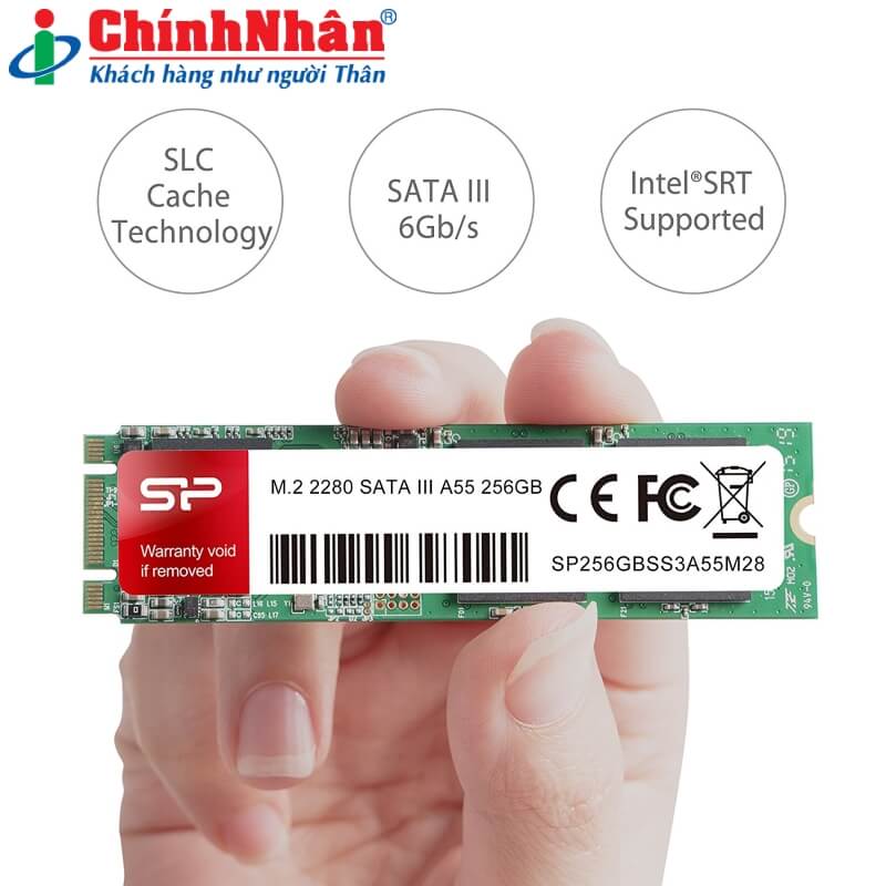 Hình ảnh chi tiết SSD gắn trong Silicon Power A55 256GB M.2 SATA - Ảnh số 2