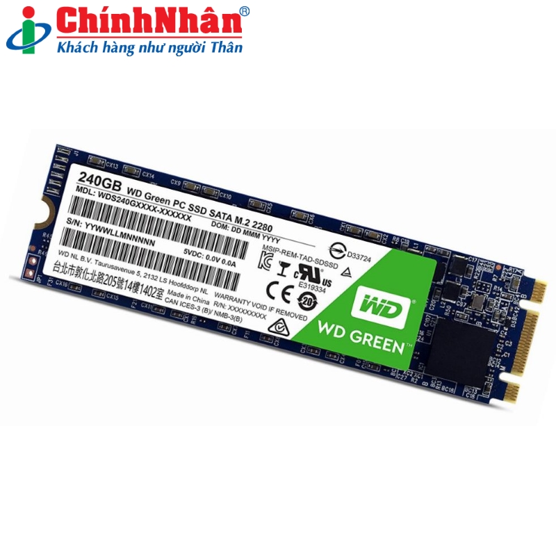 Hình ảnh chi tiết Ổ cứng SSD Western M2-2280 240GB WDS240G2G0B - Ảnh số 2
