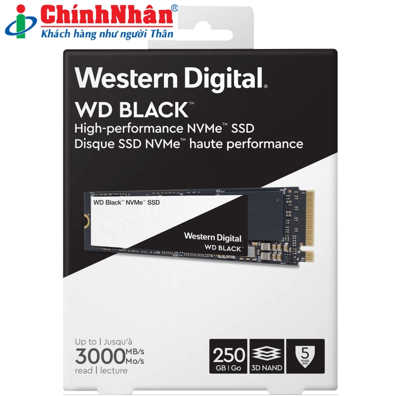 Hình ảnh chi tiết Ổ cứng SSD Western M2-2280 250GB WDS250G3X0C - Ảnh số 2