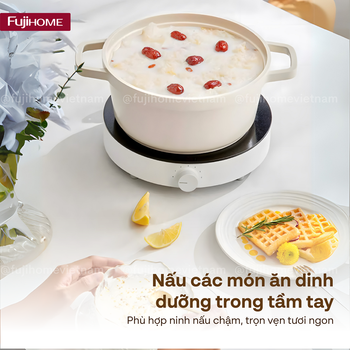 Hình ảnh chi tiết Bếp từ tròn đơn Fujihome IC-H02 - Ảnh số 29