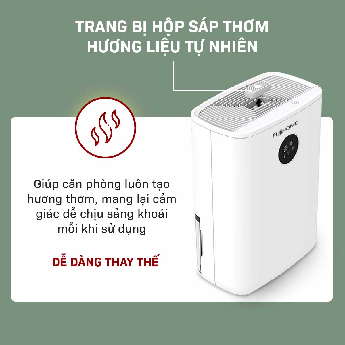 Hình ảnh chi tiết Máy hút ẩm bán dẫn tích hợp lọc không khí Fujihome DHP05-MINI - Ảnh số 19