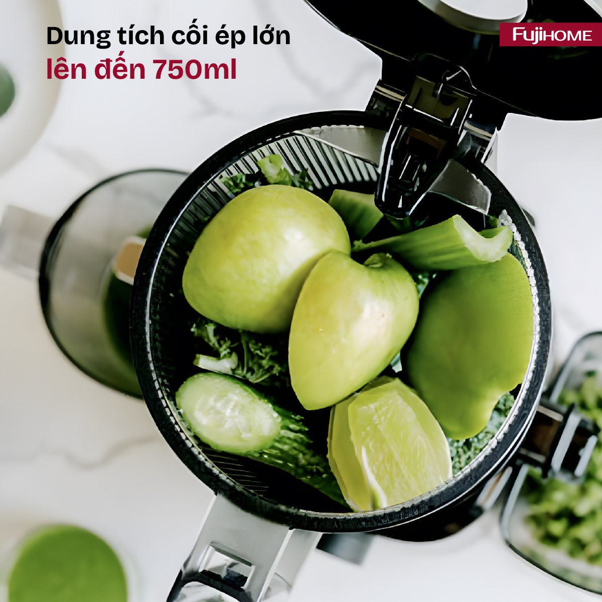 Hình ảnh chi tiết Máy ép chậm nguyên quả Fujihome SJ16 - Ảnh số 17