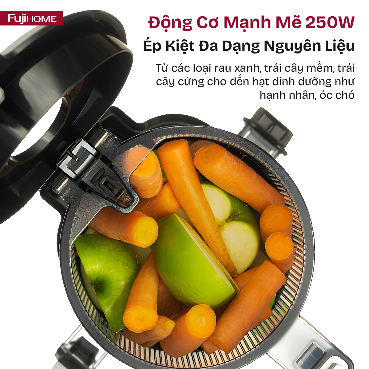 Hình ảnh chi tiết Máy ép chậm nguyên quả Fujihome SJ16 - Ảnh số 18