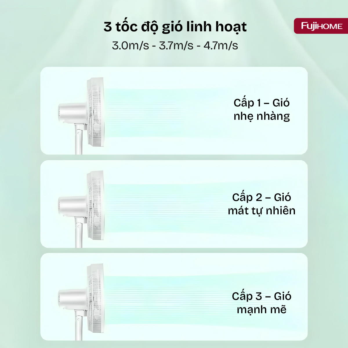 Hình ảnh chi tiết Quạt cây SF3001 - Ảnh số 26