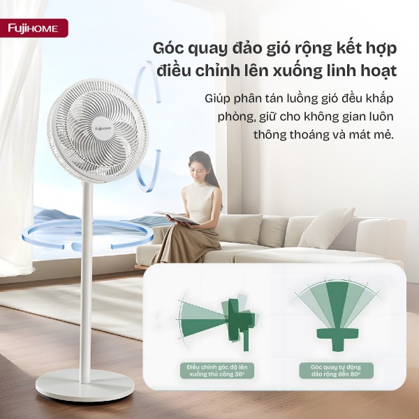 Hình ảnh chi tiết Quạt cây SF3001 - Ảnh số 5