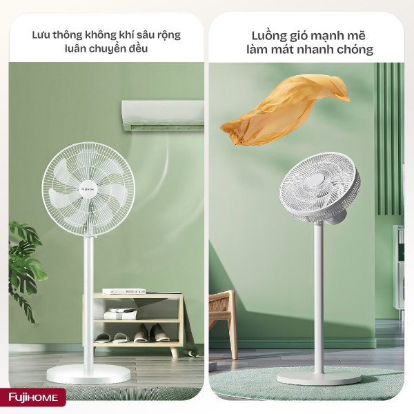 Hình ảnh chi tiết Quạt cây SF3001 - Ảnh số 6