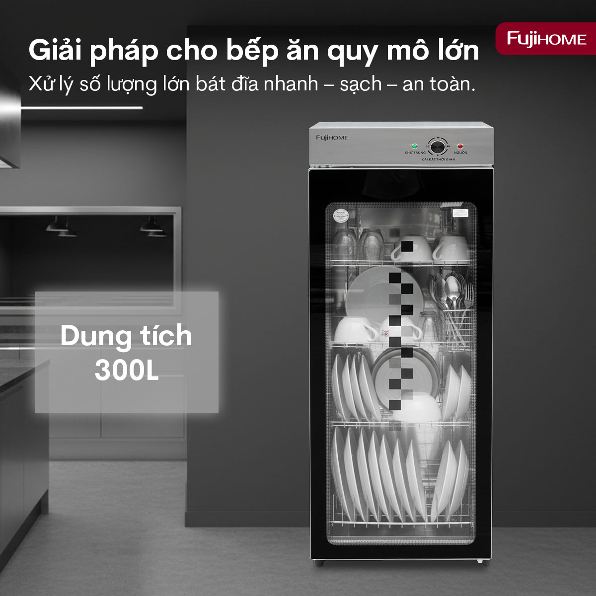 Hình ảnh chi tiết Tủ sấy chén bát tiệt trùng  Fujihome DD300A (IMEI) - Ảnh số 11